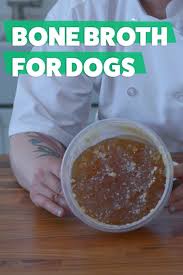 Easy Instant Pot Bone Broth For Dogs Recipe Recipe Dog Biscuit Recipes Healthy Dog Food Recipes Bone Broth For Dogs Recipe