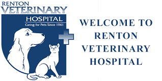 Our team is committed to providing patients with the highest quality of veterinary care. Veterinarian In Renton Wa Renton Veterinary Hospital