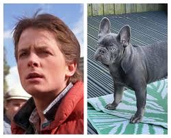 Ok I'm playing “Join the Challenge “ You have to Publish a Photo of your  Pet and another picture, suggesting their Name. Just that and nothing else.  People then have to try