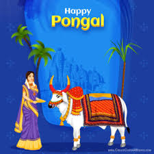 I've included some of the best happy pongal greetings for cards that you can use. Free Pongal Greeting Cards Maker Online Create Custom Wishes