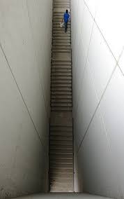 Best Of Photo Challenge Unexpected Perspective Jpg Live