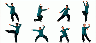Different styles of fighting using kicks, punches, acrobatic moves and weapons. Northern Praying Mantis Alchetron The Free Social Encyclopedia