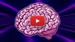 Unusual Youtube Channels That Actually Teach You Something Teaching Brain Facts Homeschooling Multiple Ages