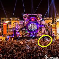 See more ideas about dance, dance stage, defqon 1. Q Dance Found My Pirate Flag At The Basscon Stage From