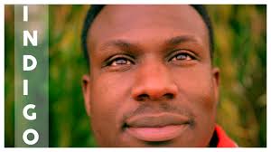 Indigo Videos