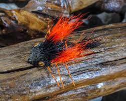 If you are a fly fisher, the brood x cicada should have crossed your radar by now. The Only 4 Patterns You Need To Know For Fishing The Brood X Cicada Hatch