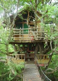 Pin By Marianella Gugiato On Tree Houses Tree House Tree House Designs Cool Tree Houses