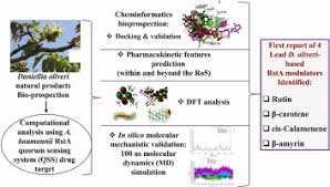 Image result for Striga baumannii