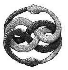 Family designs here, a family is written in a simple infinity sign in dark ink to the sides of the wearer's wrist. Infinity Ouroboros The Auryn Neverending Story This Symbol Appears In Many Other Cultures Depicting Similar S Ouroboros Tattoo Ouroboros Art Serpent Tattoo