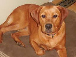 Just to say you are still in my thoughts Georgie. Doing my Thank You cards  (old fashioned I know !!) so thought pop a sticker