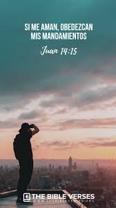 Versiculos Biblicos Sobre El Amor Juan 14 15 Versiculos Biblicos Versiculos De La Biblia Biblia