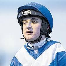 Point to Point Weekly 22-1-25 by RACING POST BLOODSTOCK