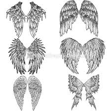 How To Draw Feathered Wings Hand Drawn Wings Vector Illustration Stockgraphicdesigns Drawings Art Drawings How To Draw Hands