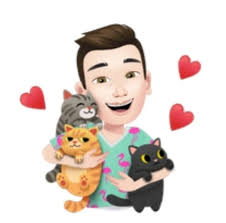 Can I safely use an adapter for Lipo battery to fit a Traxxas connector?