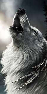 Pin By Gloria Niland On Wolf Pics Wolf Wallpaper Wolf Photography Wolf Images