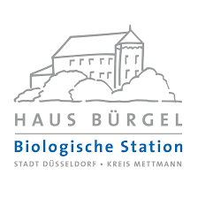 Haus bürgel liegt idyllisch in der rheinaue zwischen düsseldorf und monheim am rhein und. Biologische Station Haus Burgel Posts Facebook