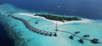 Music is our forte, and we. The Best Beach In The Maldives