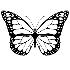 Butterfly Butterfly Clip Art Butterfly Printable Butterfly Coloring Page