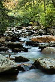 Bishop Museum Of Science And Nature Jobs Mountain Stream Stopped On A Whim And Spent A Summer Day Splashing And Playing In The Water And On The Flat Rocks Beautiful Landscapes Nature Pictures What A Beautiful World