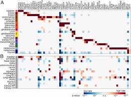 mesothelioma is a form of cancer that forms in the chest lining (pleural mesothelioma), abdomen (peritoneal mesothelioma), and the heart sac (pericardial mesothelioma) in rare cases. Cancer Mutation Network And The Number And Specificity Of Driver Mutations Pnas