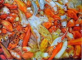 It is rendered in faber castell colored. 199 Fishes Of 2k11 Colour Pencil Painting By Anil On Behance