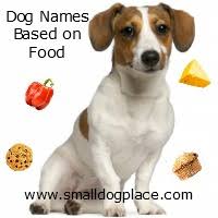 This huge list of food dog names is perfect for pup parents who are foodies or are just looking for a you'll find that some of these names are cute and more traditional like brownie or pepper, while. Dog Names Based On Food Unusual Pet Names For The Foodie At Heart
