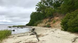 717 general booth blvd., virginia beach, virginia, 23451, phone: Hike To Fossil Beach At York River State Park In Williamsburg