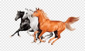 Check spelling or type a new query. The Running Horse Run Steed Png Pngegg