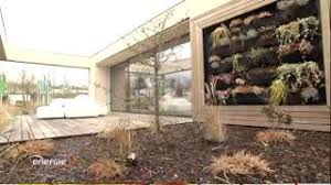 The ruffled petals and elegant buds come in many colors. Lisi Haus Einfach Hervorragend Und Smart Youtube