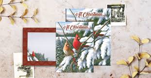 Maybe you would like to learn more about one of these? Boxed Holiday Greeting Cards