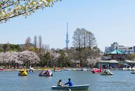 And there's a big lake holding thousands of tons of water. Tokyo Metropolitan Ueno Park The Official Tokyo Travel Guide Go Tokyo