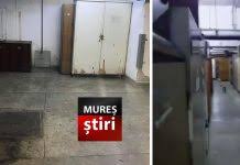 Restaurant la teo tg mures. Mures Stiri