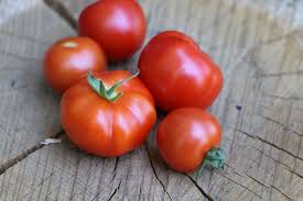 Wann, wie und womit man idealerweise tomaten düngen sollte, wird hier zusammengefasst. Urgesteinsmehl Der Dunger Fur Tomaten Anwendung Hausgarten Net