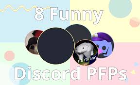 I don't know she might bite and also she is kinda fat. 8 Funny Discord Profile Picture Ideas And How To Make Them