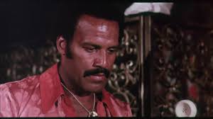 MR. MEAN (1977) stars Fred Williamson as a hitman named Mr. Mean. This film  is your typical late 70s Fred Williamson action film where he kicking ass  most of the time while women lust over him. , Fred ...
