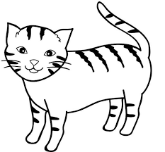 Animal groups roleplay wiki was founded in june of 2014. Gambar Kartun Kucing Lucu Hitam Putih