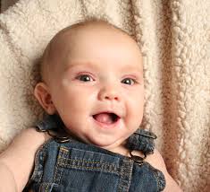 Brandon Shippy For Idaho State Senate District 9