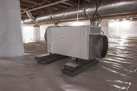 It is a perfect fit for large basements that can be a breeding ground for allergens of all sorts. Best Crawl Space Dehumidifier Reviews 2021 Let Sremovemold Com