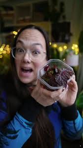 Begonia Leaf Propagation: Tips and Techniques