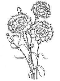 Carnation Flower Coloring Pages Download And Print Carnation Flower Coloring Pages Flower Coloring Pages Carnation Flower Coloring Pages