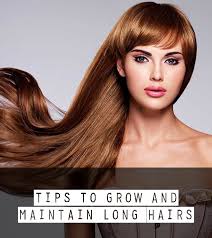 The oil glands that surround the hair roots coat the hair follicle with oil, making it shiny and glossy. 10 Tips To Grow And Maintain Long Hairs