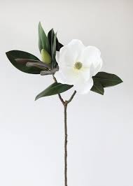 While you're here, sign up for our preferred email registry. White Magnolia Branch With Leaves Faux Spring Flowers Afloral Com
