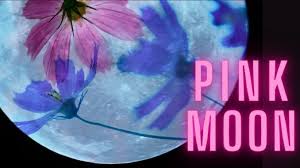 Other names for this moon include the sprouting grass moon, the egg moon and the fish moon. Clnb63hl5lnhkm