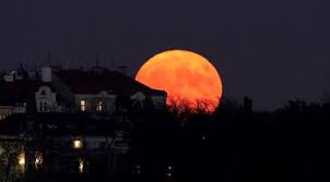 Penomena blood moon / gerhana bulan merah pada tanggal 29 juli 2018 akan terjadi lagi pada tahun 2141 atau 123 tahun. 28 Juli 2018 Ada Gerhana Bulan Total Lho Lifestyle Fimela Com