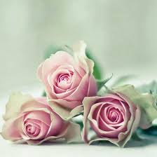 We did not find results for: Tuliskan Karya Dekoratif Yang Dapat Dihasilkan Dengan Teknik Melipat Dan Menggunting Brainly Co Id