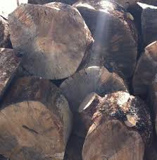 Post a job (it's free). Reno Nv Cold Springs Firewood
