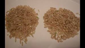 Even smaller grains like quinoa or millet do well. Rice 101 How To Freeze Cooked Rice And Use It Later Youtube