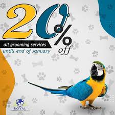 Take your pet to the nearest grooming salon for a happy hair cut and give them a picture perfect look. Royal Veterinary Centre Al Ain Pet Service Al Ain 859 Photos Facebook