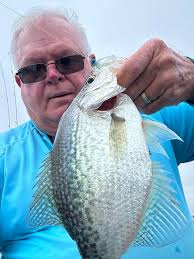 Angry piston carving for motorheads at the lake