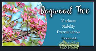 Check out our magic dogwood selection for the very best in unique or custom, handmade pieces from our shops. Dogwood Tree Meaning Symbolism Tree Symbolism Meanings
